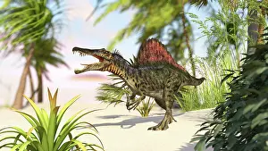 Spinosaurus: Spinosaurus hunting for its next meal