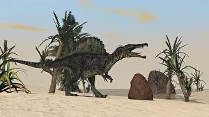 Spinosaurus: Spinosaurus hunting for its next meal