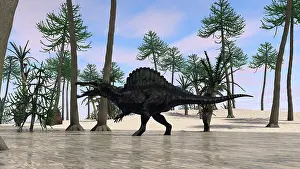 Spinosaurus: Spinosaurus hunting for its next meal in shallow waters