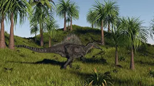 Spinosaurus: Spinosaurus hunting in an open field