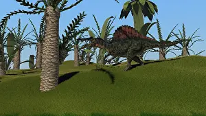 Spinosaurus: Spinosaurus hunting in an open field