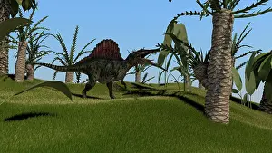 Spinosaurus: Spinosaurus hunting in an open field