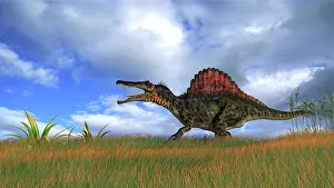 Spinosaurus: Spinosaurus hunting in prehistoric grasslands