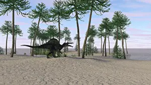 Spinosaurus: Spinosaurus hunting along the shore