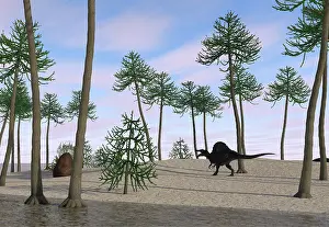 Spinosaurus: Spinosaurus hunting along the shore