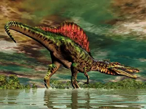 Howling: Spinosaurus was a large theropod dinosaur from the ?