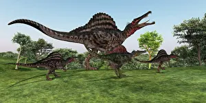 Terrible: A Spinosaurus mother walks with her youngsters in ?