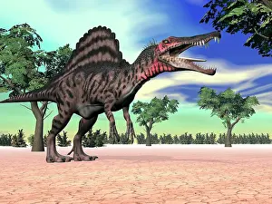 Spinosaurus: Spinosaurus standing in the desert with trees