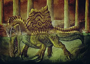 Split: Spinosaurus in the swamp
