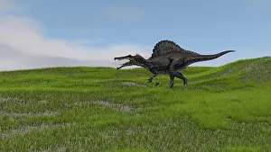 Spinosaurus: Spinosaurus walking across a grassy field