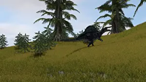 Spinosaurus: Spinosaurus walking across a grassy field