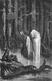 Apparitions: SPIRIT OF THE FOREST