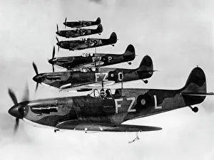 Spitfire: Spitfire of the Royal Air Force, 1940