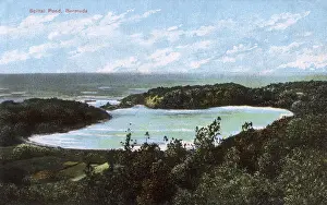 Bermudan: Spittal Pond, Bermuda