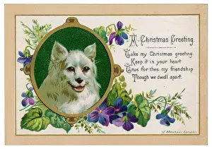 Graces: SPITZ ON XMAS CARD