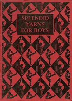 Splendid: Splendid Yarns for Boys book cover