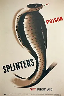Rattlesnake: Splinters Poison