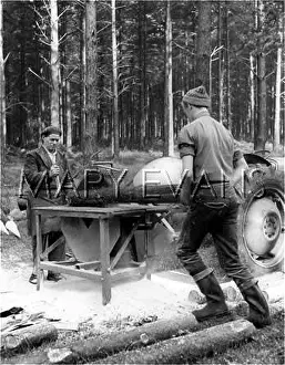 Sawdust: SPLITTING LARCH LOGS