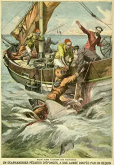 Footing: Sponge diver loses his footing