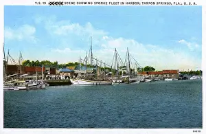 Tarpon: Sponge Fleet in Harbour - Tarpon Springs, Florida, USA