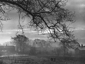 Settles: SPOOKY EVENING SCENE