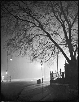 Lamplight: Spooky Night Scene