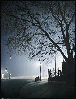 Spooky Night Scene