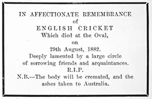 Ashes: SPORT/CRICKET/ASHES