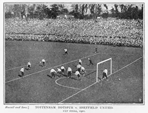 Selhurst: Sport - Football - Specific