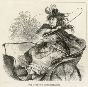 Whipping: A sporting horsebreaker