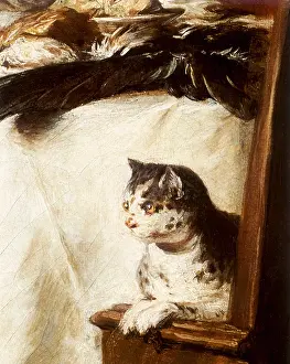 Felines: Spotted Cat sits on Chair