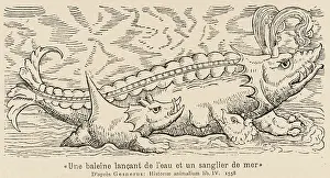 Spouting: Spouting Whale-Fish