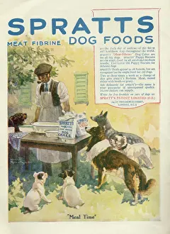 Mealtime: Spratts Dog Foods advertisement
