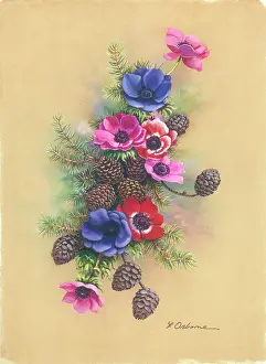 Cones: Spray of Anemones, fir and cones