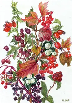 Spray of Autumn Leaves and Berries