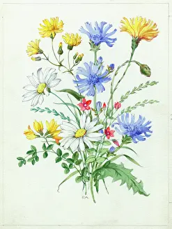 Trefoil: Spray of cornflowers, etc