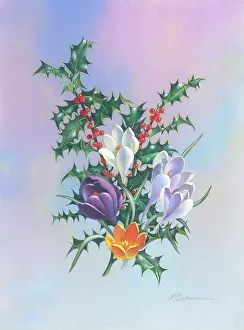 Crocuses: A Spray of Crocuses and Holly