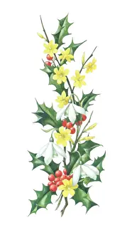 Jessamine: Spray of holly, snowdrops and jessamine