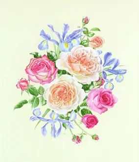 Irises: Spray of peach and pink roses with irises