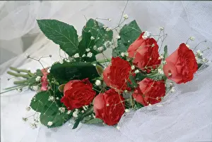 Gypsophila: Spray of Six Red Roses with Gypsophila