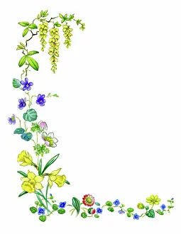 Lynes: A spray of spring flowers
