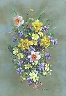 Currant: Spray of Spring Flowers