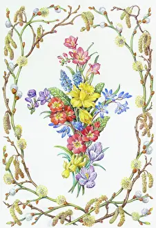 Catkins: Spray of Spring Flowers & border of catkins etc