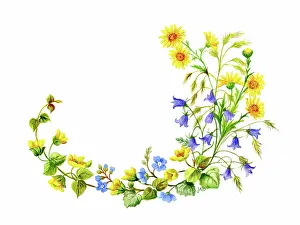 Ockenden: Spray of wild flowers