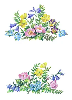 Buttercups: Two sprays of buttercups, harebells, pansies etc