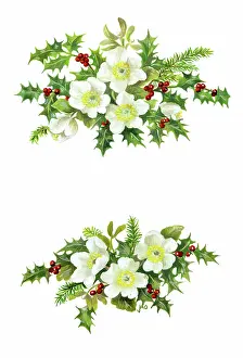 Ockenden: Two sprays of Christmas Roses and Holly