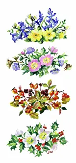Blackberries: Four sprays of flowers of the four seasons