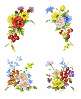 Ockenden: Four sprays of mixed flowers and berries