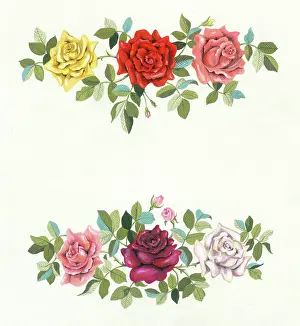 Sprays: Two sprays of Roses