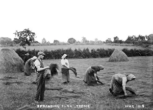 Toome: Spreading Flax, Toome